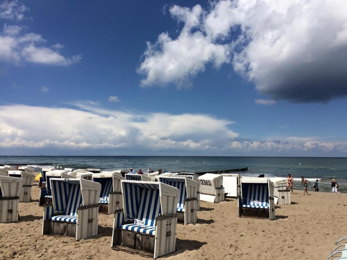 Auster, Direkt Am Alten Strom Rostock