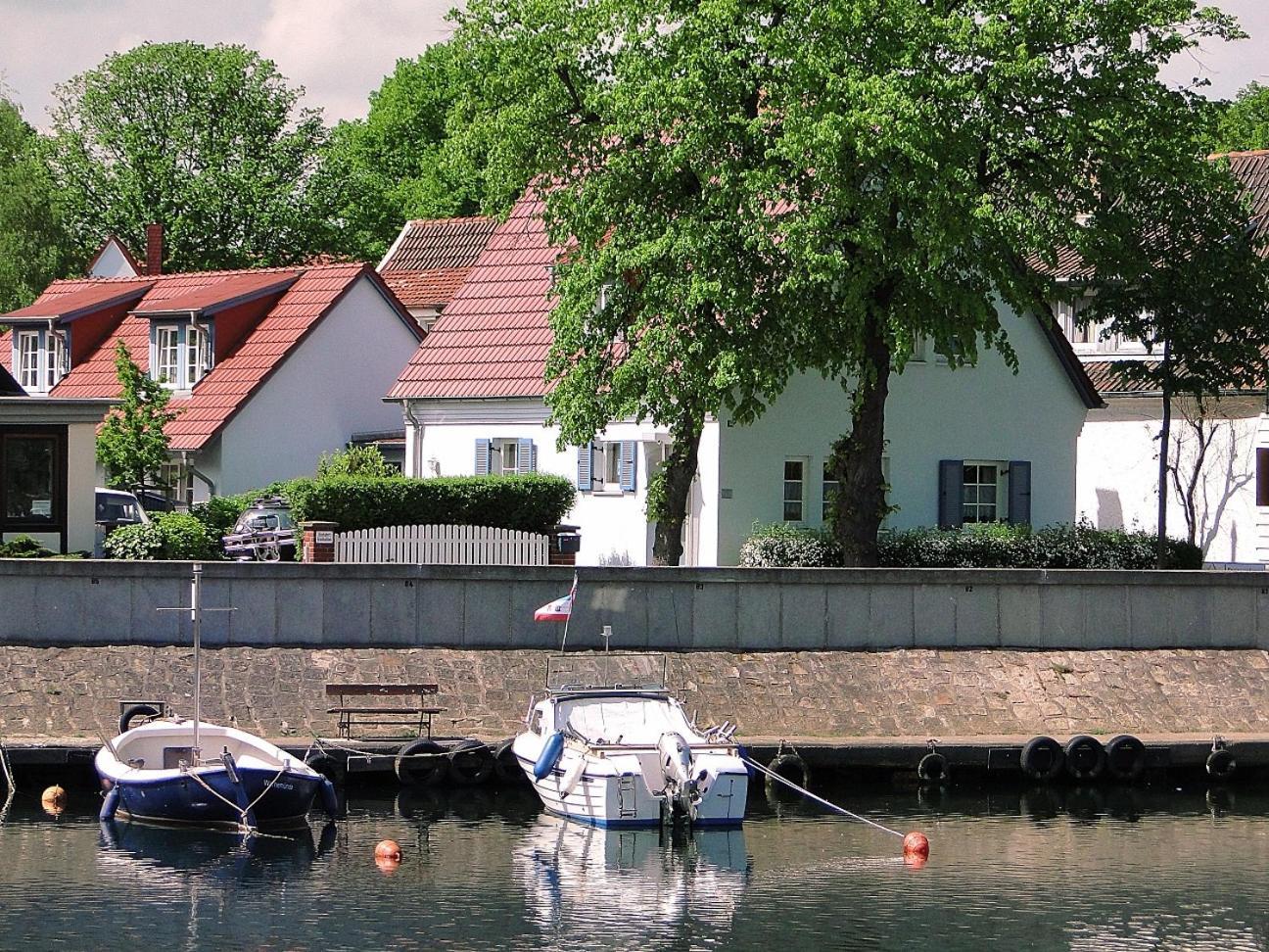 Auster, Direkt Am Alten Strom Rostock